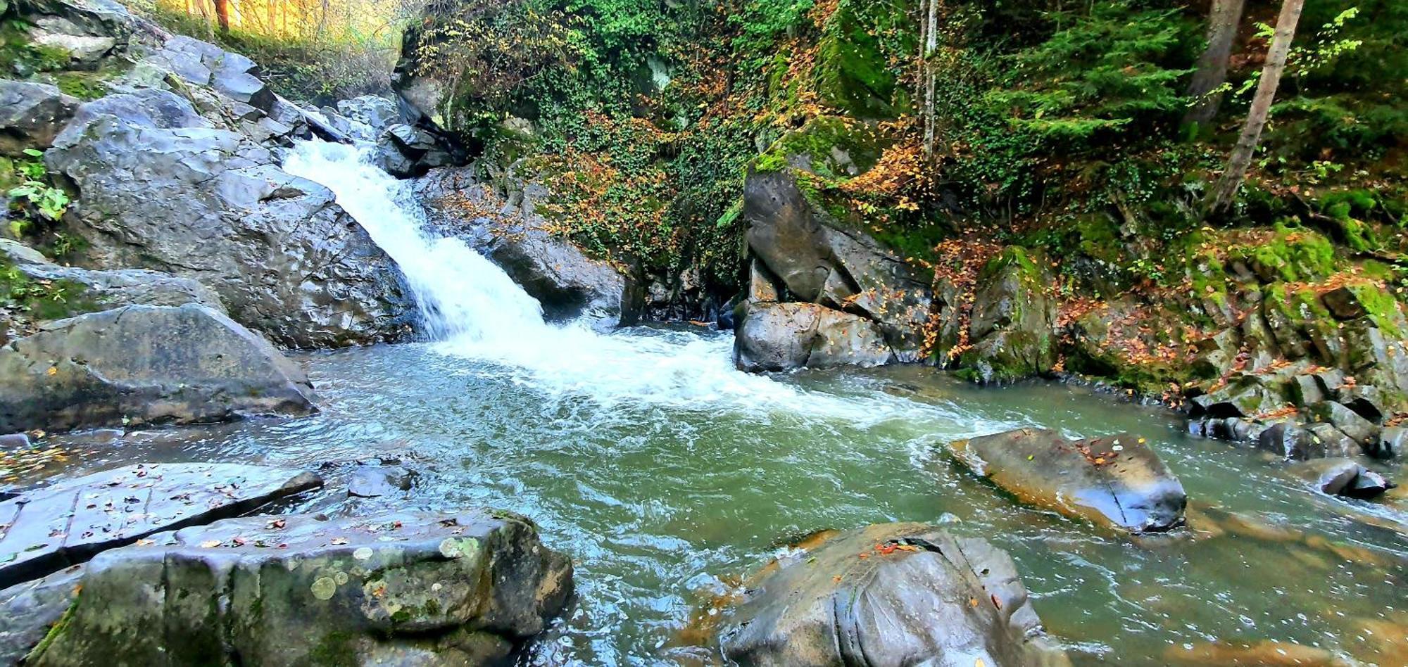 Hotel Bradul - Covasna Bagian luar foto